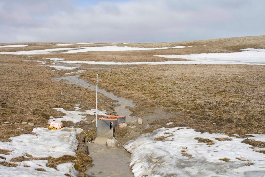 Cape Bounty 2010 prelim-200