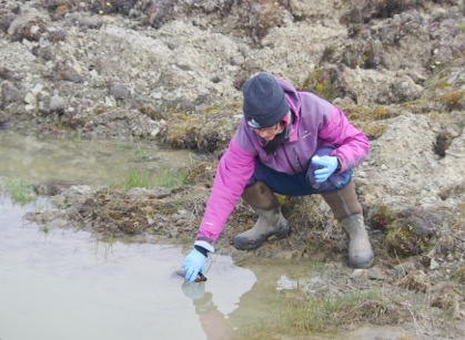 cape-bounty-2015-14c-sampling_arruda46-of-107-2